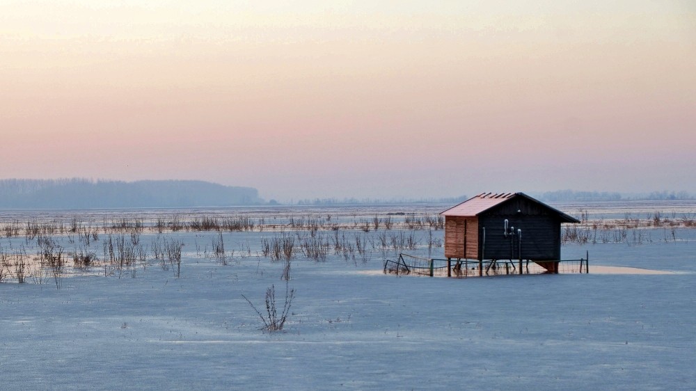 Dans la puszta hongroise 
