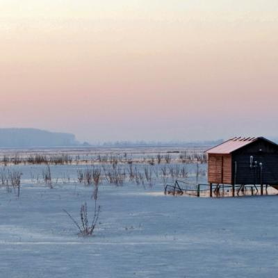 Dans la puszta hongroise 