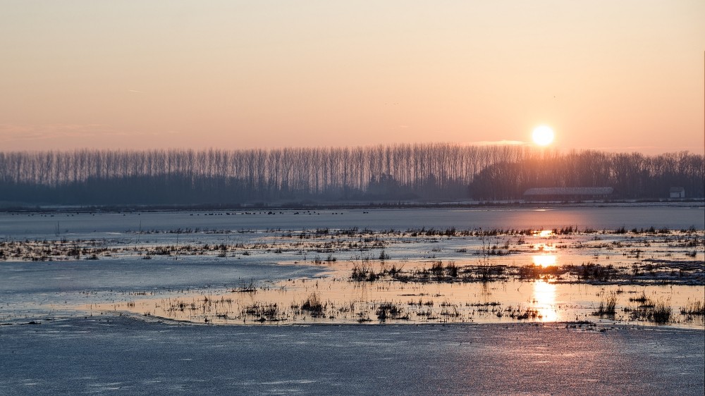 Coucher de soleil sur le marais d'El Rocio - Espagne
