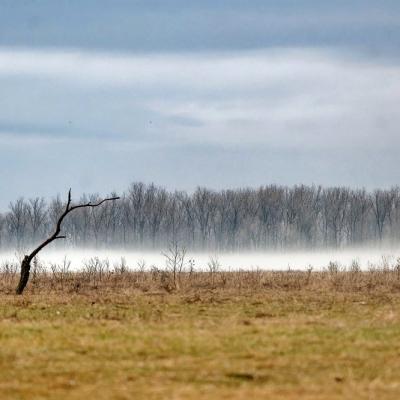 Brumes sur la puszta hongroise