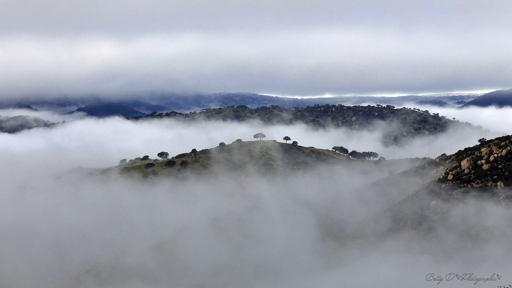 Mer de nuages sur la sierra Morena - Espagne