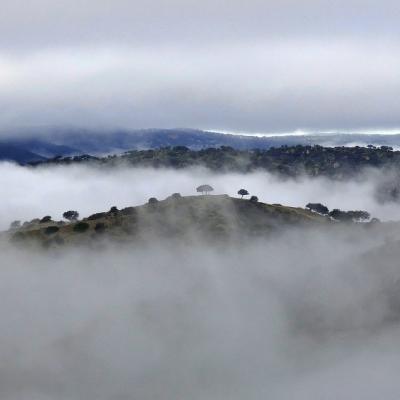 Paysages